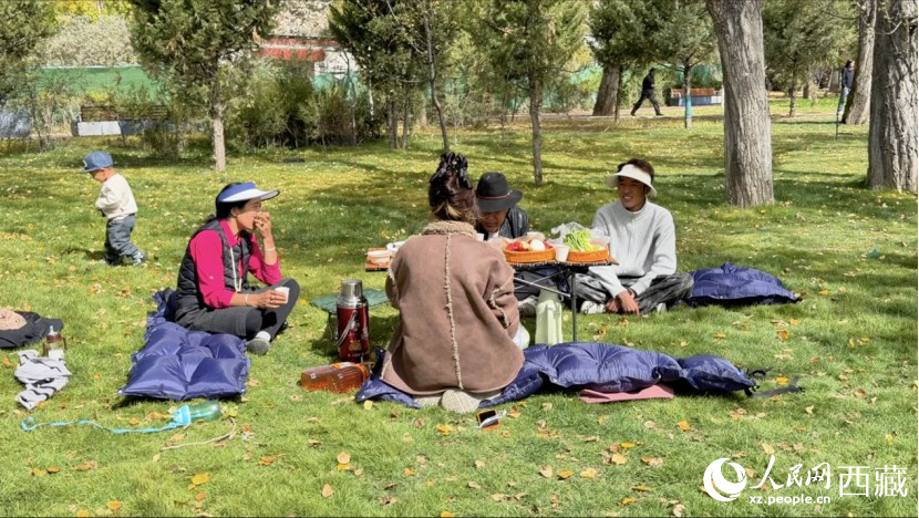 圖為市民在公園內(nèi)聚會(huì)。人民網(wǎng)記者 次仁羅布攝