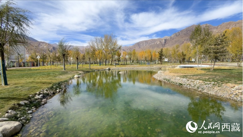 圖為青年林卡公園。人民網(wǎng)記者 次仁羅布攝