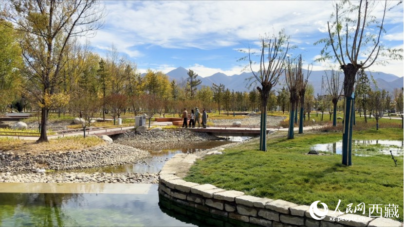 圖為青年林卡公園。人民網(wǎng)記者 次仁羅布攝