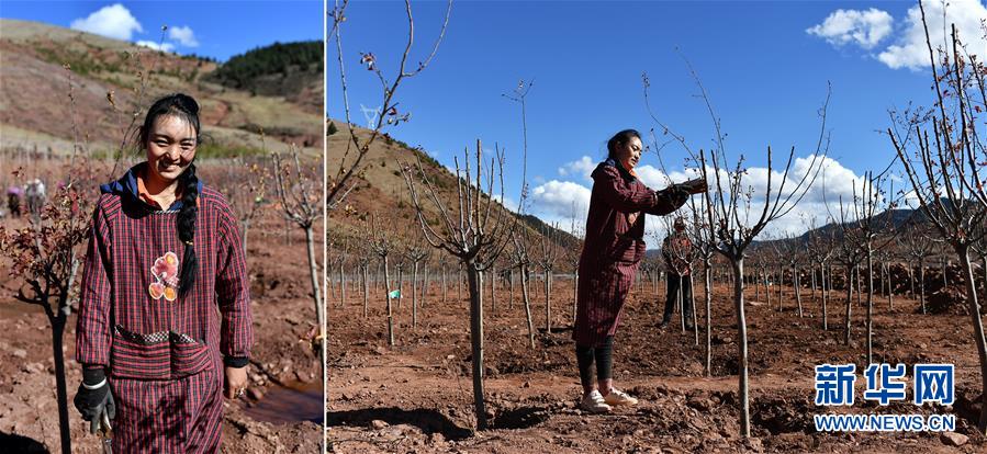 （脫貧攻堅(jiān)·圖片故事）（4）藏東大地脫貧影像