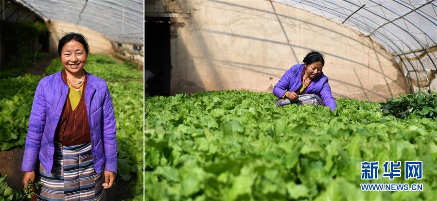 （脫貧攻堅(jiān)·圖片故事）（12）藏東大地脫貧影像