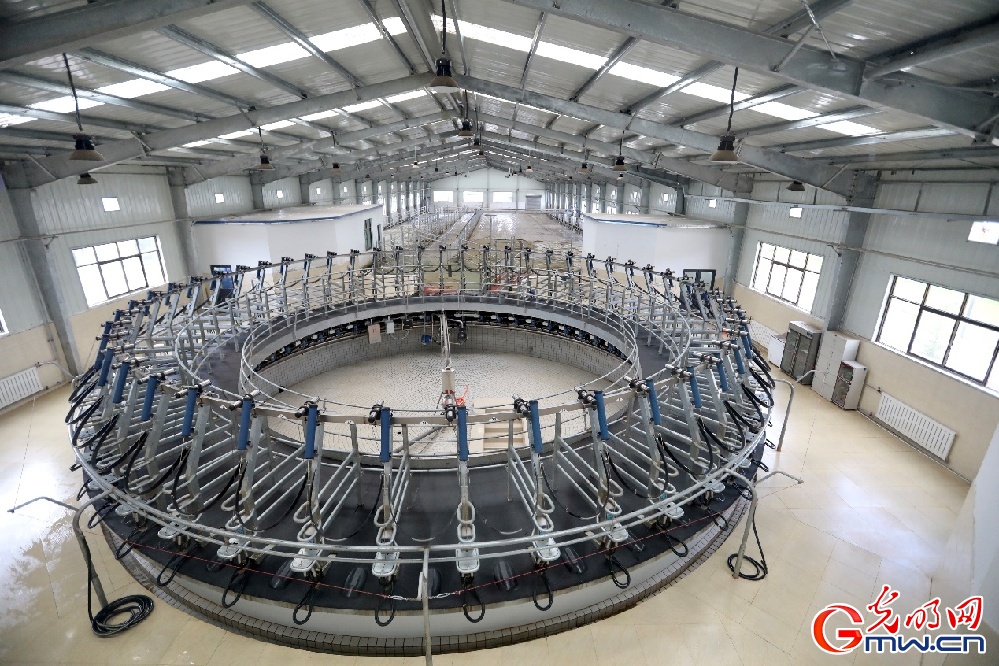 【幸?；ㄩ_新邊疆】大力發(fā)展西藏隆子縣特色產(chǎn)業(yè) 堅決打贏脫貧攻堅戰(zhàn)