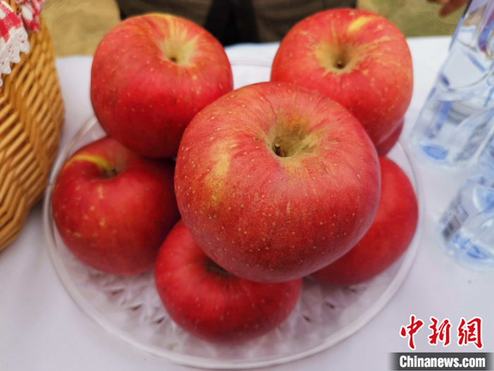 延安蘋果。<a target='_blank'  ><p  align=