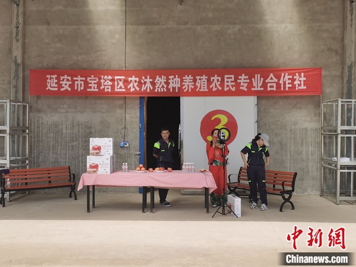 來源：柳林鎮(zhèn)果技園供圖。