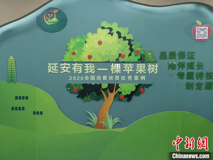 “延安有我一棵蘋果樹”。<a target='_blank'  ><p  align=