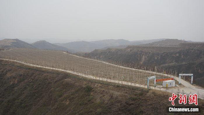 陜西省延安市安塞區(qū)高橋鎮(zhèn)南溝村生態(tài)示范園。 <a target='_blank'  ><p  align=