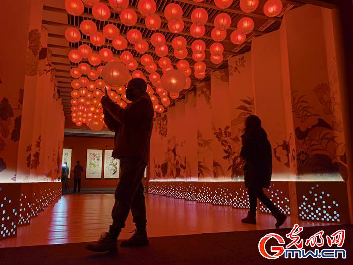 【新春走基層】視頻丨虎年看虎展！來國(guó)博感受虎文化