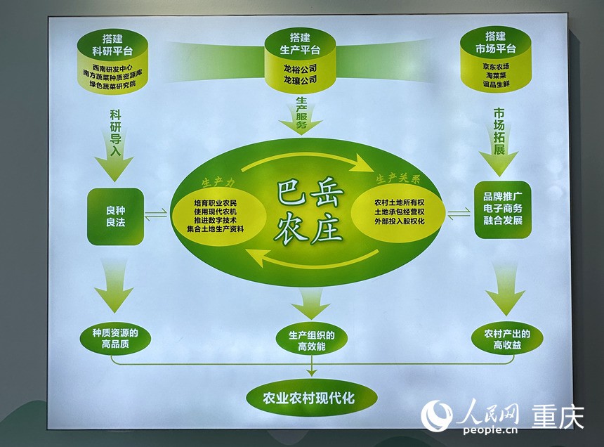 “巴岳農(nóng)莊”運(yùn)作示意圖。人民網(wǎng)記者 劉政寧攝
